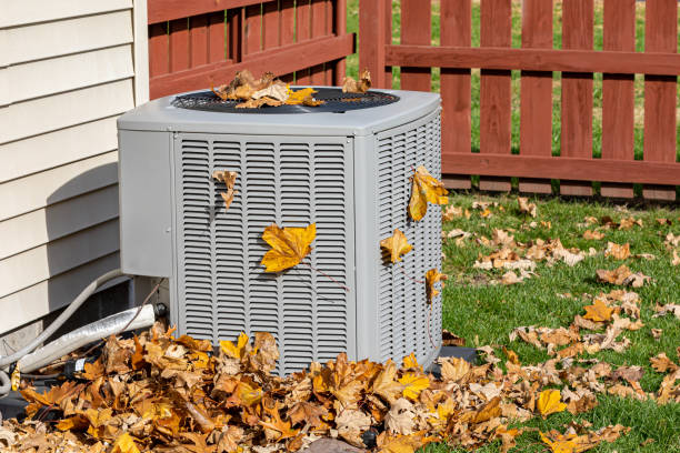 Best HVAC Air Duct Cleaning  in Humboldt Hill, CA